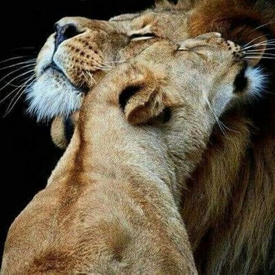 Profile Picture of CHOWDHRY MUHAMMAD AMJAD RASHEED JAT (@AmjadRasheedJat) on Twitter