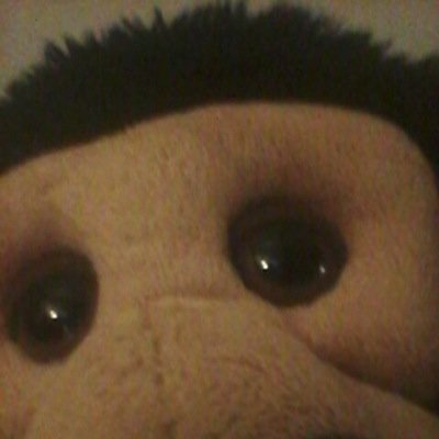 Profile Picture of Neil Wiggins (@charlie0580) on Twitter