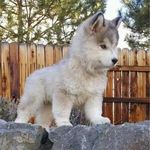 Profile Picture of Jacob Bolaño (@jacob.bolano) on Instagram