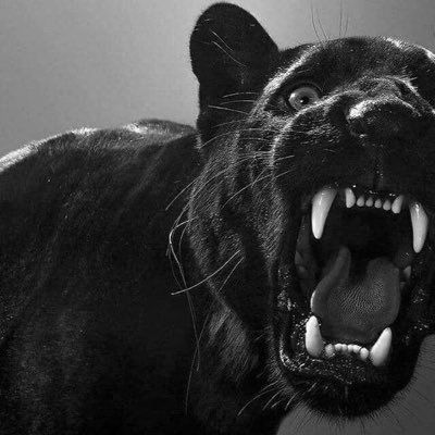 Profile Picture of AVarnado (@alexneivrndo) on Tiktok