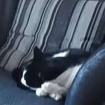 Profile Picture of Aaron Deniel Kordizadeh (@Aaron-Deniel-Kordizadeh) on Facebook