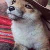 Profile Picture of Chase Brogan (@@mexicanham0) on Tiktok