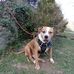 Profile Picture of Michael McCulley (@michael.mcculley.338) on Facebook