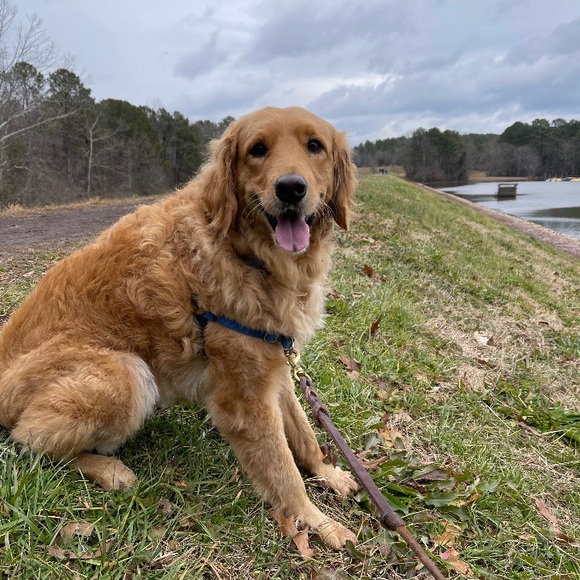 Profile Picture of Bryce Weeter (@bryceweeter) on Poshmark