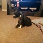 Jeremy Dietrich - Instagram Profile Picture of Jeremy Dietrich (@dietrichj1) on Instagram