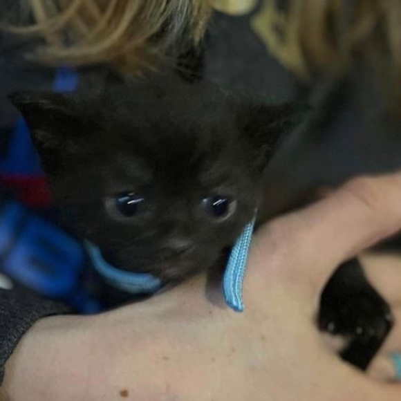 Jocelyn Betteridge - Poshmark Profile Picture of Jocelyn Betteridge (@jocelynbetterid) on Poshmark