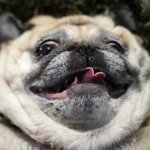 Profile Picture of Bryce Putnam (@bryce_putnam_1017) on Instagram