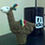 Profile Picture of Brian Zhang (@brian zhang) on Flickr