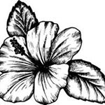 Profile Picture of Mina Williams (@mina.williams.104) on Instagram