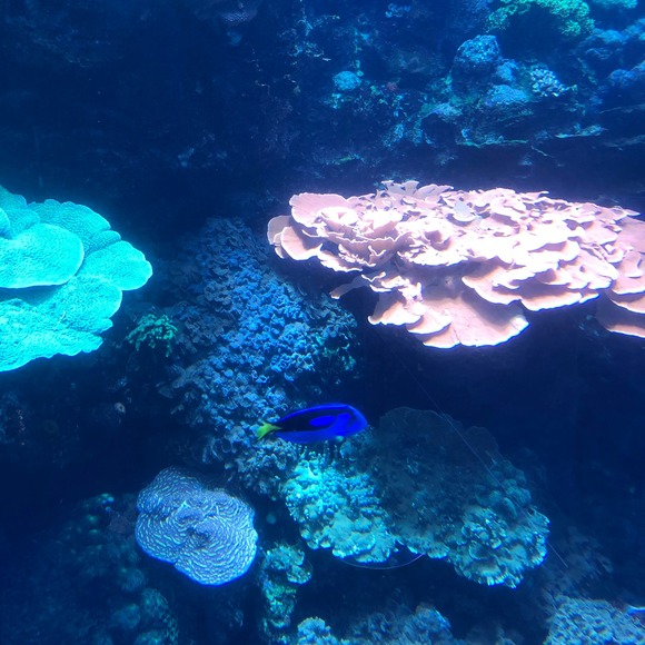 Jazmine Jazmine - Poshmark Profile Picture of Jazmine Jazmine (@inlyftym) on Poshmark