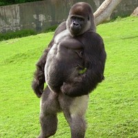 Profile Picture of Josh Jacobsen (@josh-jacobsen-9) on Quora