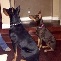 Profile Picture of Chris Dahlstrom833 (@chrisdahlstrom0) on Tiktok