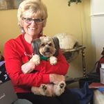 Profile Picture of Marsha Goodwin North (@marshagoodwinnorth) on Instagram