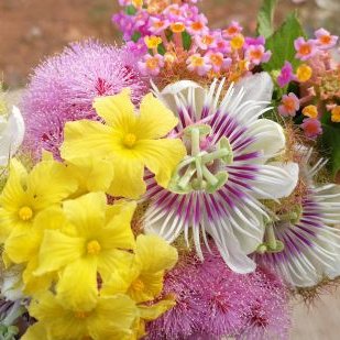 Umm Hann - Twitter Profile Picture of Umm Hann (@UmmuAlHannan) on Twitter