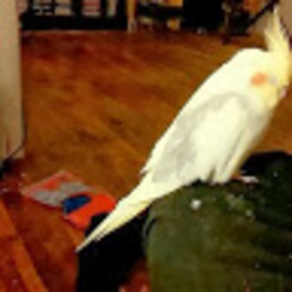 Profile Picture of Mike Benner (@mchlbenner66) on Poshmark