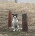Profile Picture of Scott Robison (@scott.robison.330) on Facebook