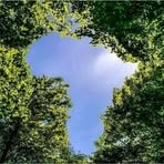 Profile Picture of Hamber Brian (@hamber.brian) on Facebook