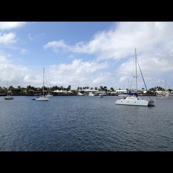 Profile Picture of Sue Mucciarone (@mucc15) on Poshmark