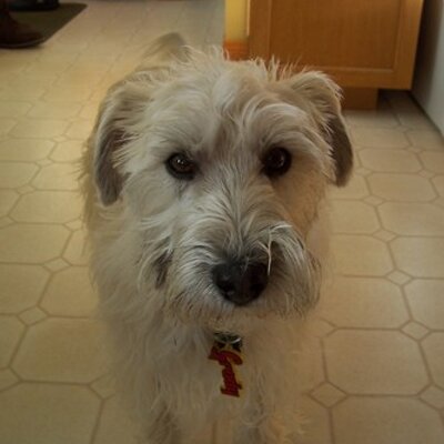 Profile Picture of Ken McInnis (@KJMcInnis) on Twitter