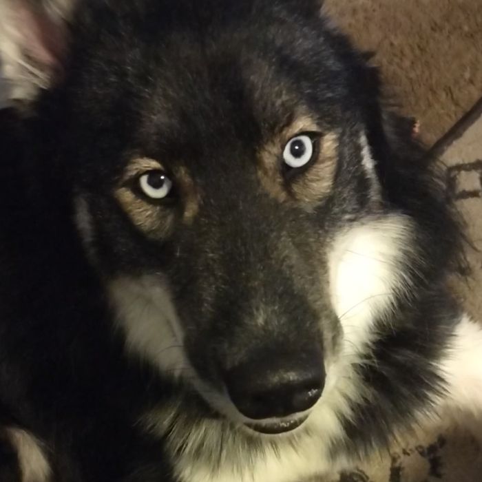 Profile Picture of windy (@windyworkman4) on Tiktok