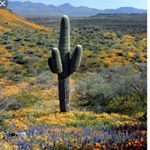 Profile Picture of Christy Boulter (@chris.boulter) on Instagram