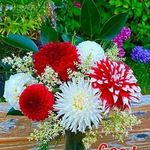 Profile Picture of Ditta  Maria Joseph (@dittamariajoseph) on Instagram