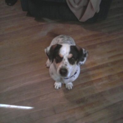 Profile Picture of Dawn Matteson (@RuenHarold) on Twitter