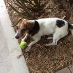 Roberta Stone - Instagram Profile Picture of Roberta Stone (@robertastone4) on Instagram