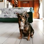 alice molinari - Instagram Profile Picture of alice molinari (@ali.moli07) on Instagram