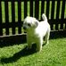 Profile Picture of Benny Pfeifer (@benny.pfeifer.14) on Facebook
