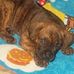 Profile Picture of Larry Archibald (@larry.archibald.315) on Facebook