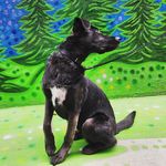 Profile Picture of Jean Paul Rosales (@jean_paul_rosales) on Instagram