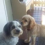 Profile Picture of Jerry Holt (@jerry.holt.355) on Instagram