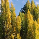 Profile Picture of EdwardBauer (@edwardbauerk) on Instagram