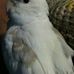 Profile Picture of Elvis Byrd (@elvis.byrd.5) on Facebook