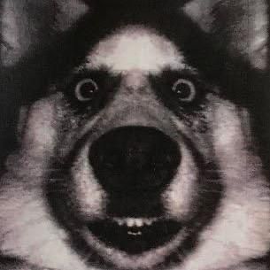 Profile Picture of Shawn Fowler (@showler919) on Tiktok