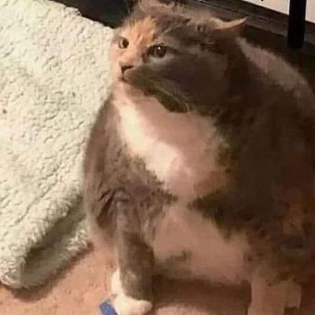 Profile Picture of phoebe (@pobewan) on Tiktok