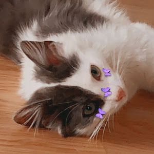 Profile Picture of Carly (@carlycozart) on Tiktok