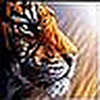 Profile Picture of Bodeha (@Bodeha) on Flickr