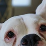 Profile Picture of Matthew J Krol (@matthewjkrol) on Instagram