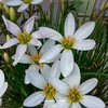 Profile Picture of Steebert John (@@steebertjohn) on Tiktok