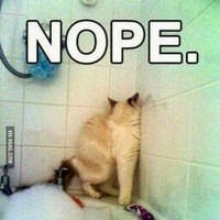 Profile Picture of Jon Homer (@jon-homer-1) on Quora