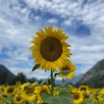 Profile Picture of Isabelle Dumont (@isabelle.dumont.902) on Instagram