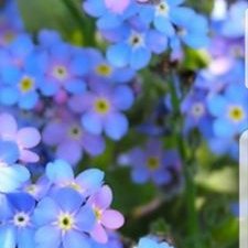 Profile Picture of Julie Bennett (@jules24jas) on Twitter