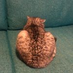 Profile Picture of Michael Taliaferro (@taliaferro_michael) on Instagram