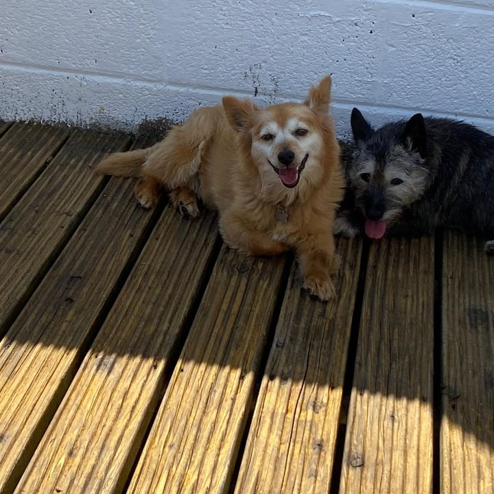 Profile Picture of glennbehan361 (@glennbehan361) on Tiktok