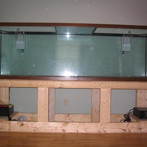 Profile Picture of Greg Heffernan (@237115315) on Myspace