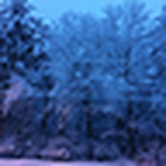 Mark Musante - Flickr Profile Picture of Mark Musante (@mark j musante) on Flickr