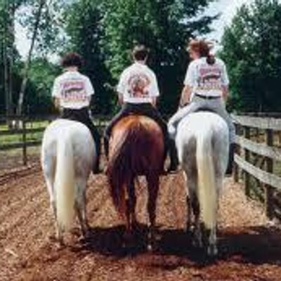 Profile Picture of Fiona Marie Bates (@perfectpony1) on Twitter