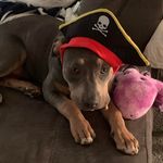 Profile Picture of SDaggz79 (@daggettshawn) on Instagram